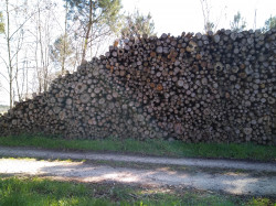 Bois de chauffage  Lot-et-Garonne