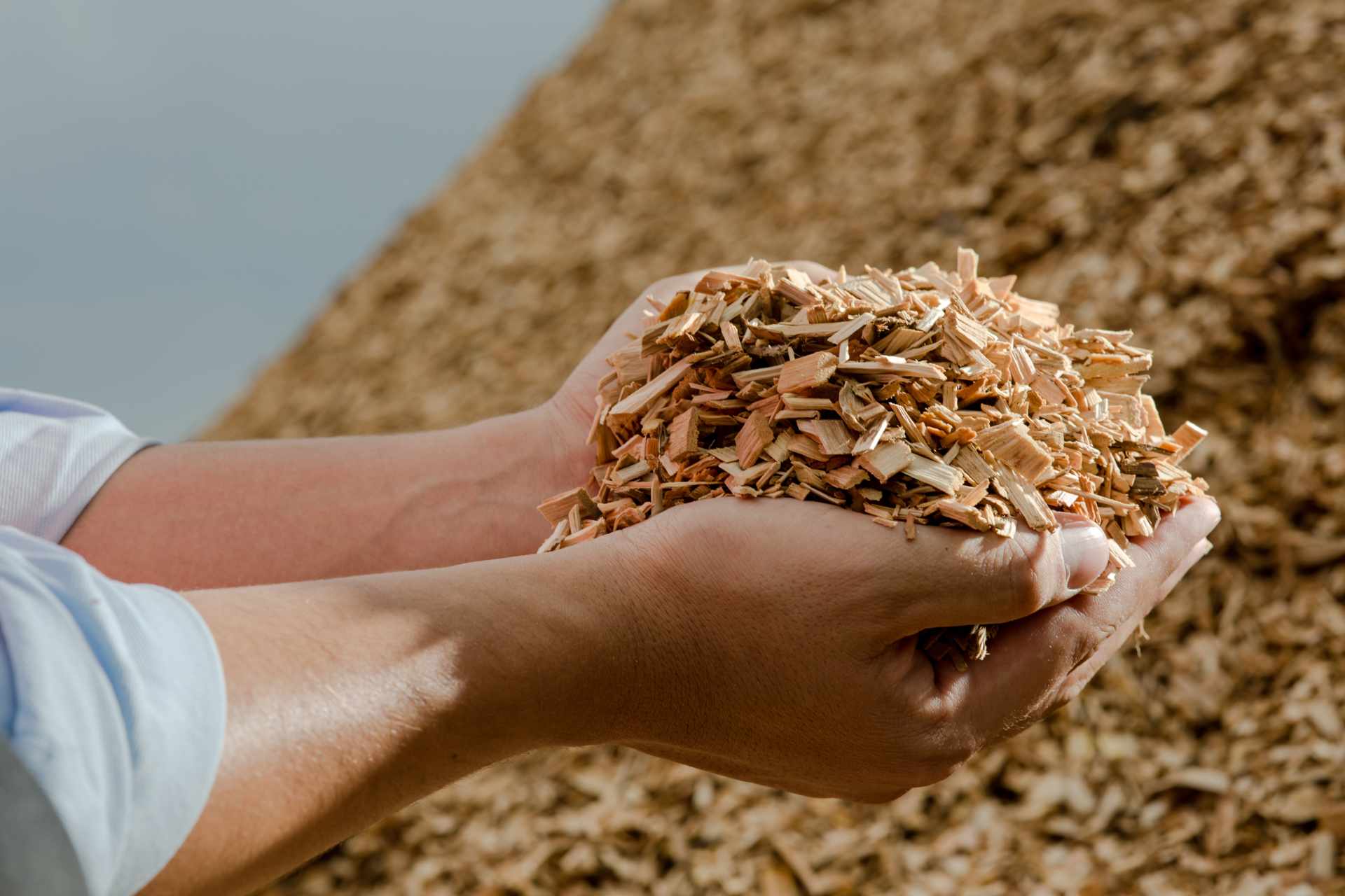 Sarl B. Ligneau et fils - Fabrication et vente de plaquettes forestières à  Réaup-Lisse